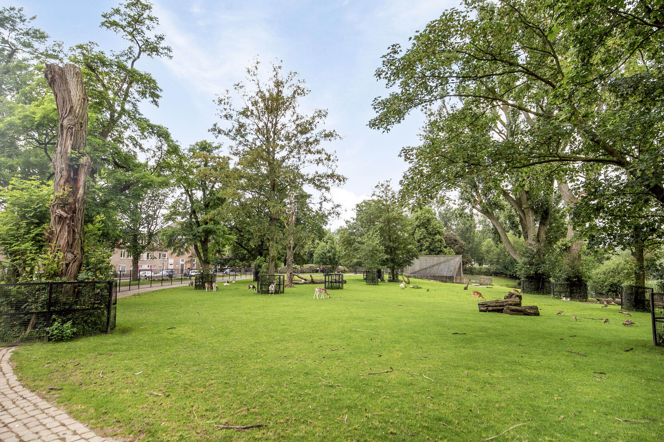 2 Bedrooms Bedrooms, ,1 BathroomBathrooms,Appartement,Te Koop,1302