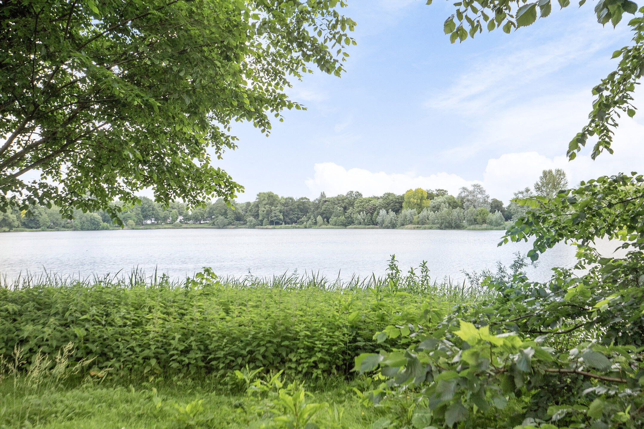 2 Bedrooms Bedrooms, ,1 BathroomBathrooms,Appartement,Te Koop,1302