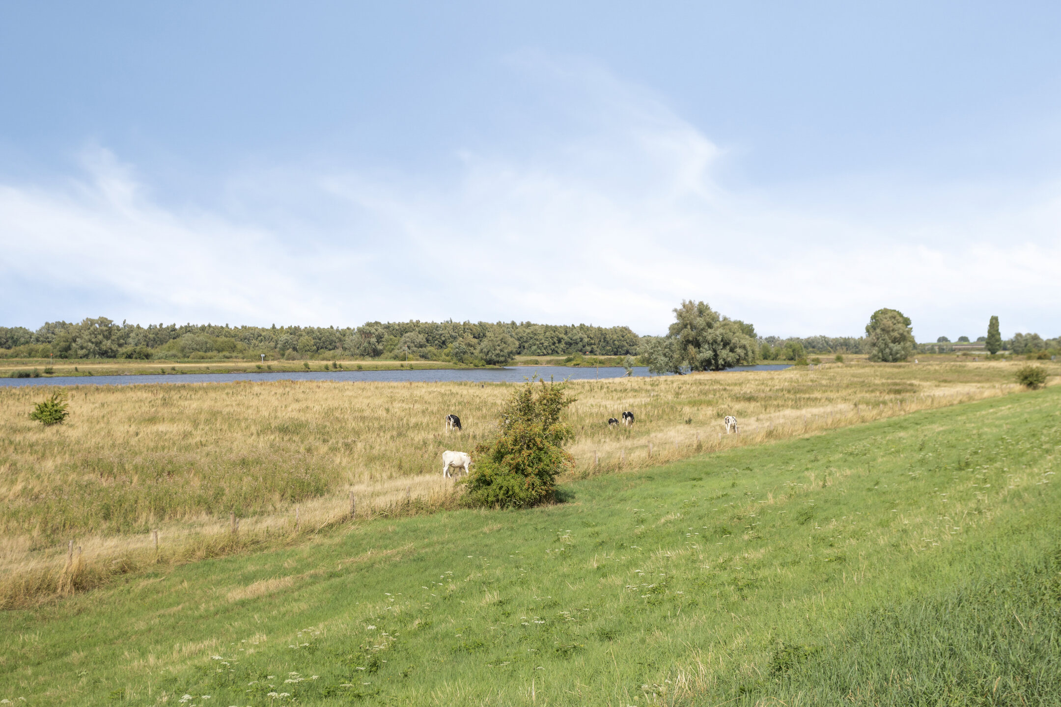 2 Bedrooms Bedrooms, ,1 BathroomBathrooms,Appartement,Te Koop,1510