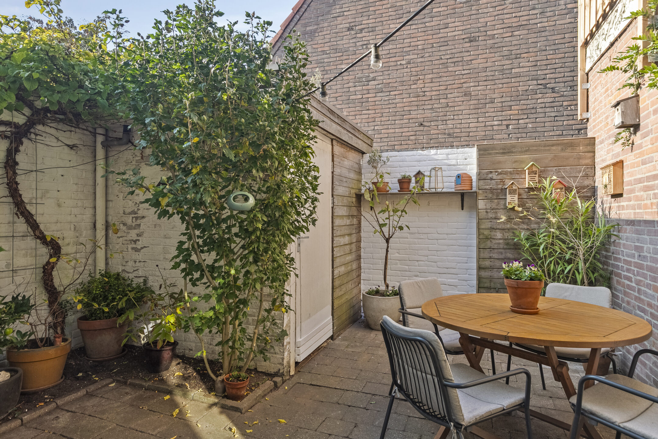 3 Rooms Rooms,1 BathroomBathrooms,Woonhuis,Te Koop,1557