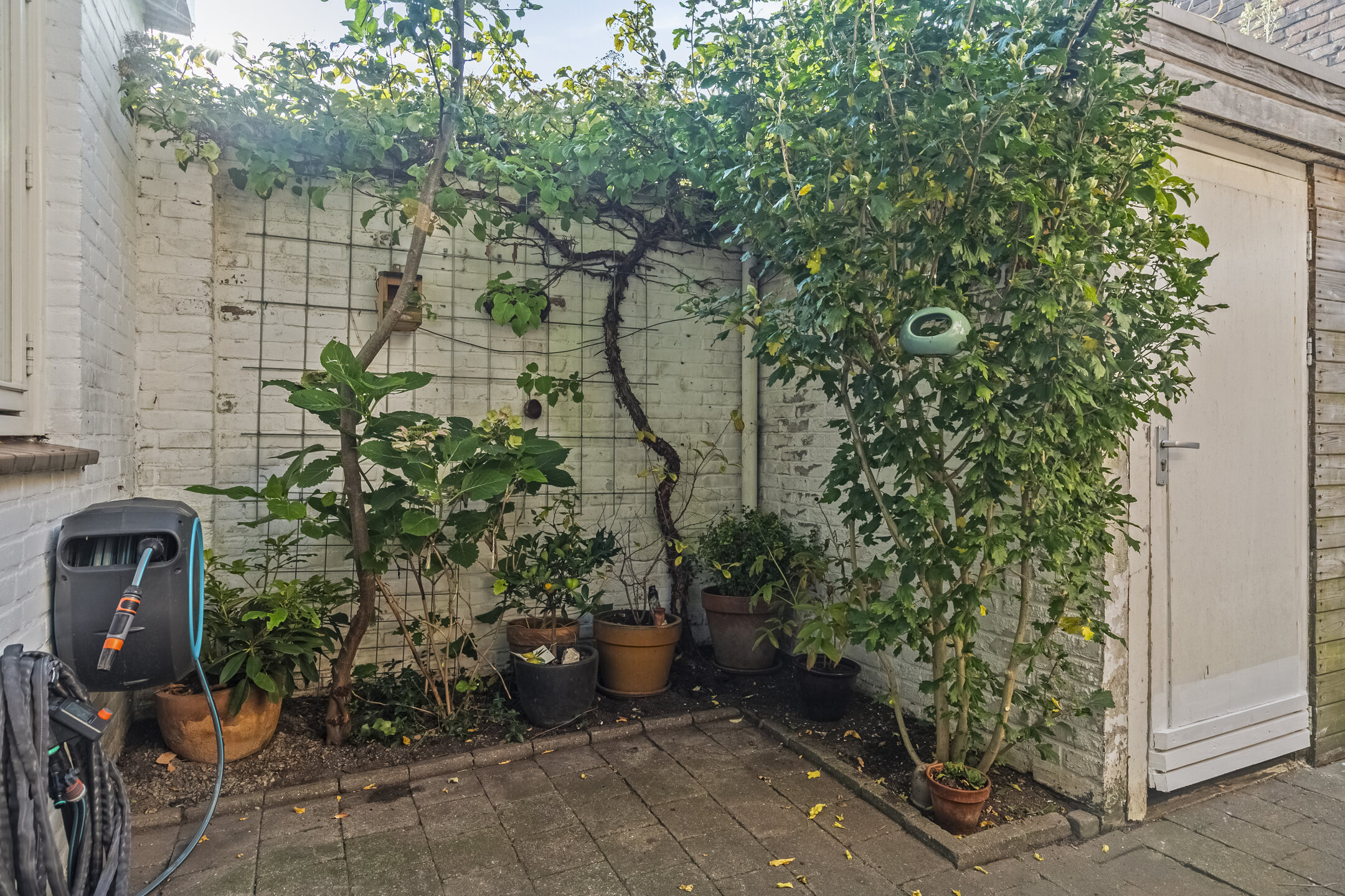 3 Rooms Rooms,1 BathroomBathrooms,Woonhuis,Te Koop,1557