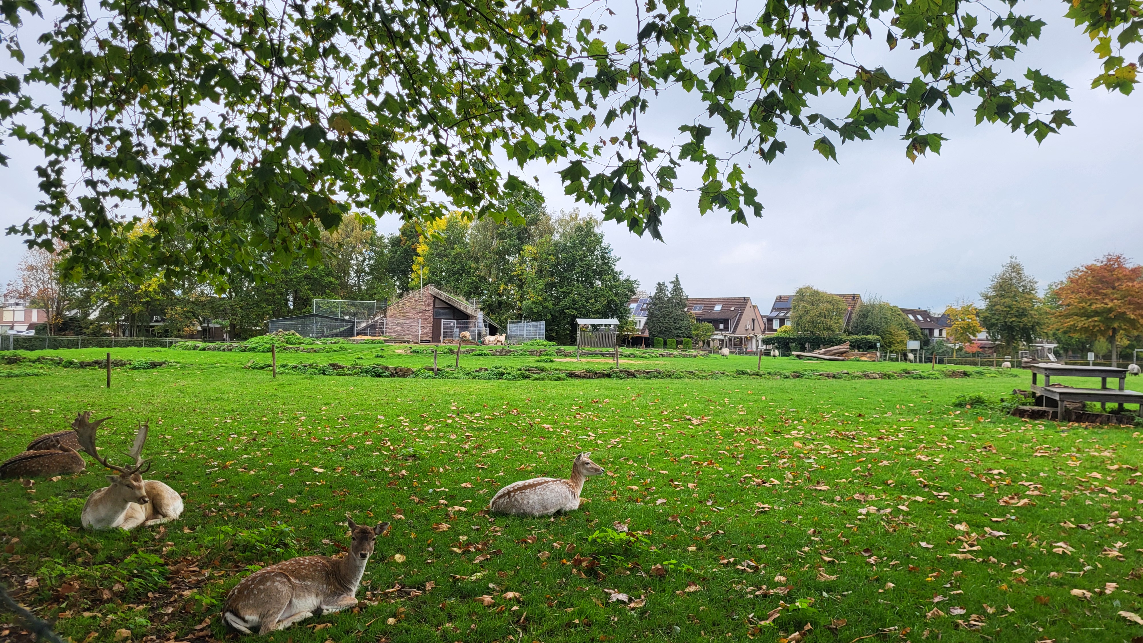 5 Rooms Rooms,1 BathroomBathrooms,Woonhuis,Te Koop,1573