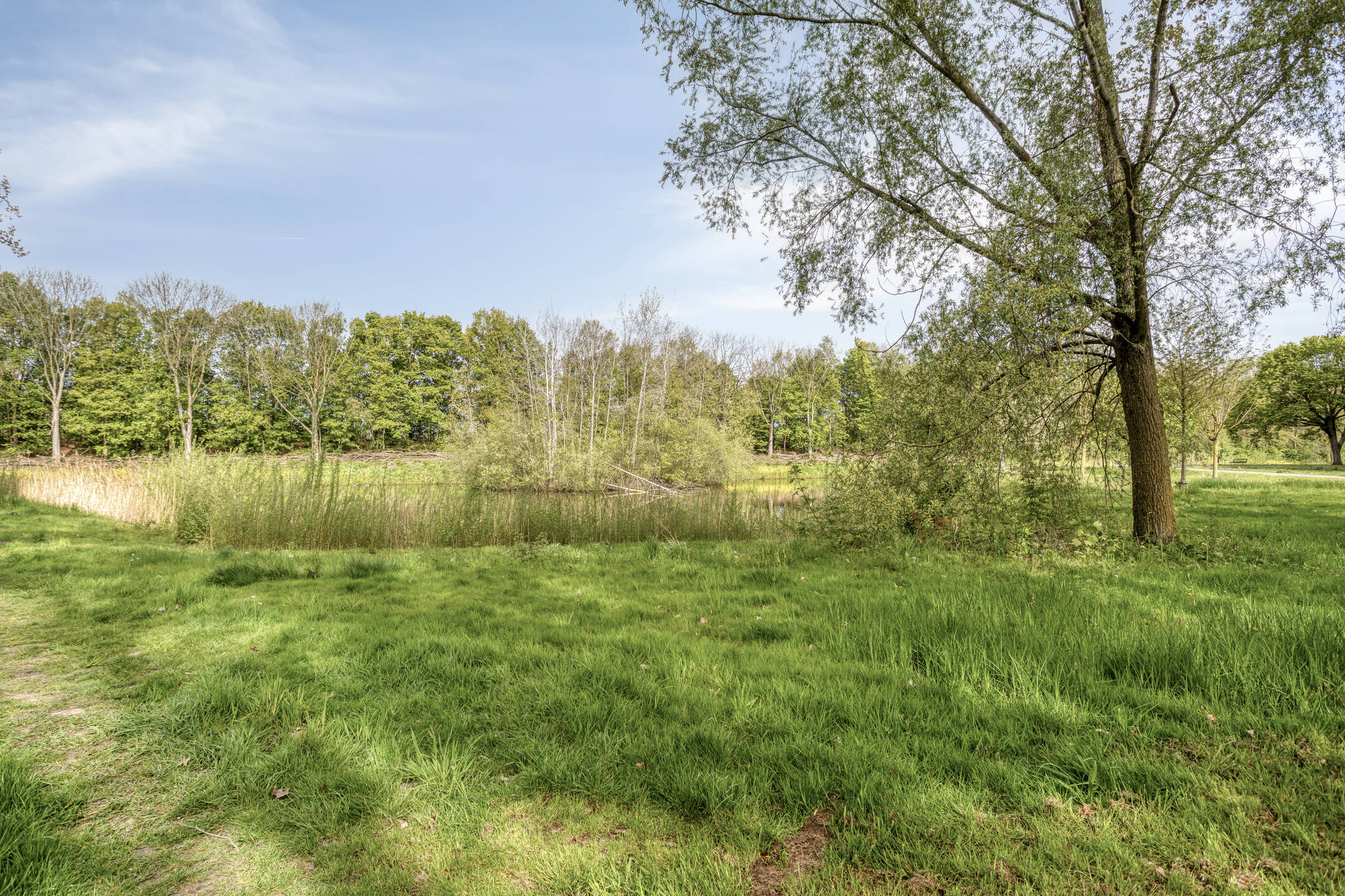 2 Bedrooms Bedrooms, ,1 BathroomBathrooms,Appartement,Te Koop,1659