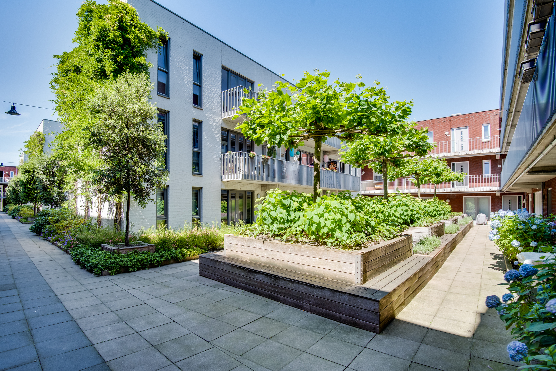 1 Bedroom Bedrooms, ,1 BathroomBathrooms,Appartement,Te Koop,1066